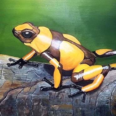 Corsi di disegno e pittura.